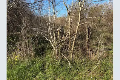 2504 Peach Ridge Road, Brookshire, TX 77423 - Photo 10