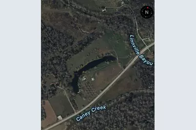 0 Fm521, Cedar Lane, TX 77415 - Photo 2