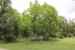 Tbd Elm 825C St, West Columbia, TX 77486 - Photo 1