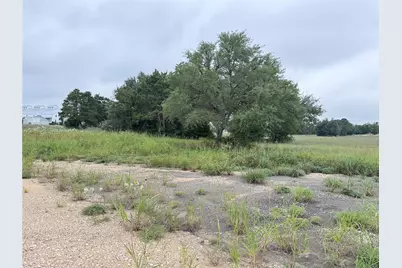 109 Compound, Round Top, TX 78954 - Photo 12