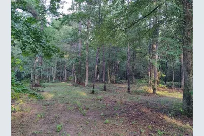 232 Texas Grand Road, Huntsville, TX 77340 - Photo 8