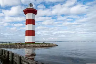 12011 Curlin Dr, Willis, TX 77318 - Photo 14