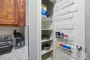 7950 N Stadium Dr, Houston, TX 77030 - Photo 8