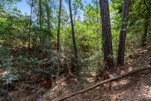 37432 Clubhouse Ln, Montgomery, TX 77355 - Photo 14