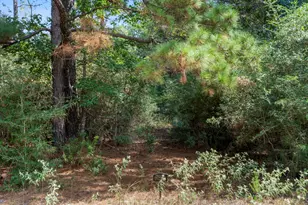 37432 Clubhouse Ln, Montgomery, TX 77355 - Photo 12