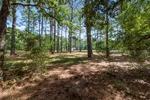 37432 Clubhouse Ln, Montgomery, TX 77355 - Photo 16