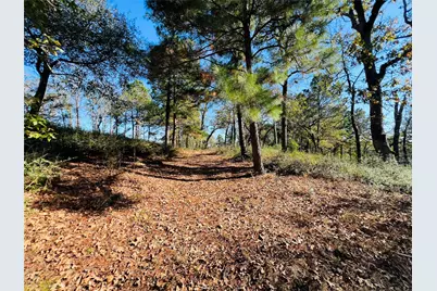 Lot 112 Private Road  1313, Centerville, TX 75833 - Photo 6
