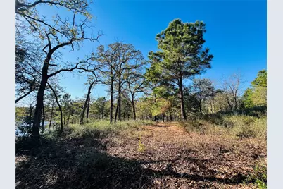 Lot 112 Private Road  1313, Centerville, TX 75833 - Photo 8