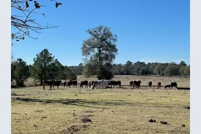 8112 County Road 146, Bedias, TX 77831 - Photo 40