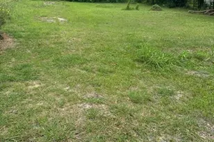 4419 Mayflower St, Houston, TX 77051 - Photo 1