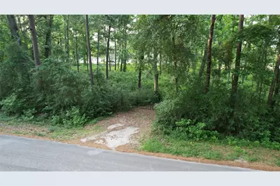 28102 Nichols Sawmill Road, Magnolia, TX 77355 - Photo 2