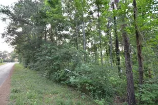 28102 Nichols Sawmill Rd, Magnolia, TX 77355 - Photo 14