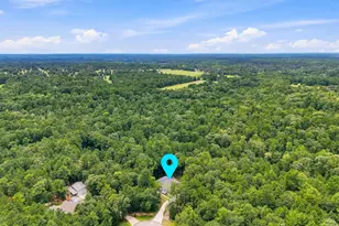 115 Llano Ct, New Waverly, TX 77358 - Photo 50