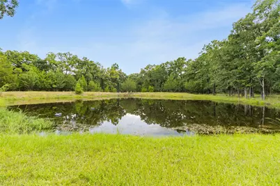 289 William Thomas Road, Huntsville, TX 77320 - Photo 4