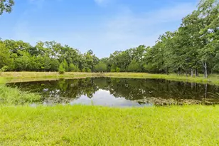 289 William Thomas Rd, Huntsville, TX 77320 - Photo 4