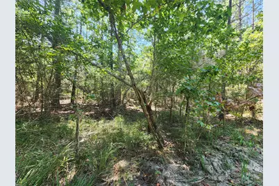 285 Sweet Gum Drive, Brookeland, TX 75931 - Photo 2