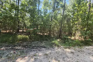 285 Sweetgum Dr, Brookeland, TX 75931 - Photo 1
