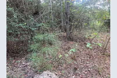 7926 E Fm 942, Livingston, TX 77351 - Photo 16