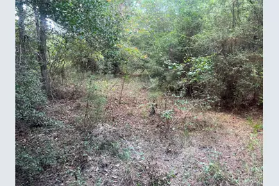 7926 E Fm 942, Livingston, TX 77351 - Photo 14