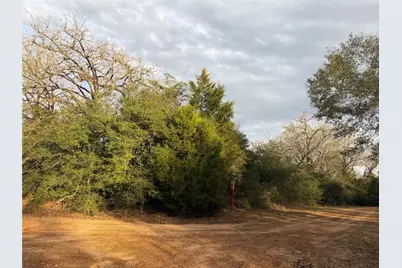 26667 Deerwood Drive, Hempstead, TX 77445 - Photo 4