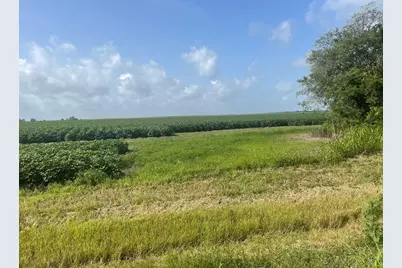 10815 Koym Road, Beasley, TX 77417 - Photo 8