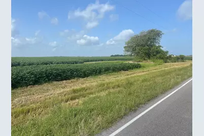 10815 Koym Road, Beasley, TX 77417 - Photo 6