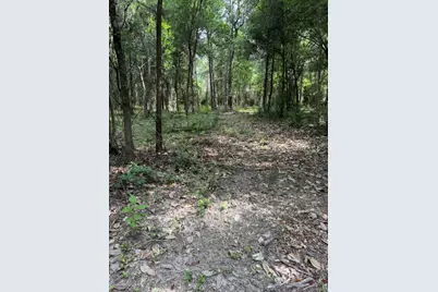 1500 Fm 1416, Newton, TX 75928 - Photo 6