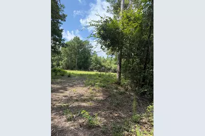 1500 Fm 1416, Newton, TX 75928 - Photo 14