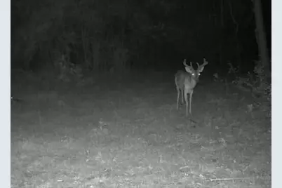 1500 Fm 1416, Newton, TX 75928 - Photo 22