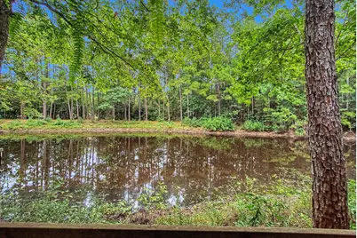 272 Tom Marsh Road, Livingston, TX 77351 - Photo 38
