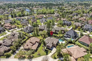 11 Rosy Finch Pl, The Woodlands, TX 77389 - Photo 50