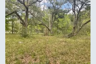 2419 Fm 1459 Road, Sweeny, TX 77480 - Photo 10