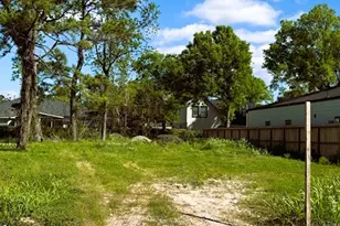 8105 Cabot St, Houston, TX 77078 - Photo 6