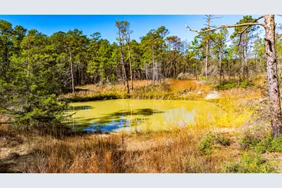 018 Magnolia Ranch Road, Onalaska, TX 77360 - Photo 10