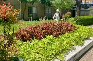 2600 Bellefontaine St, Houston, TX 77025 - Photo 20