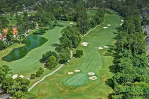 17314 Cedar Placid Ln, Houston, TX 77068 - Photo 44