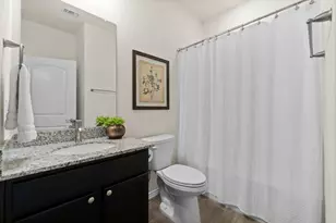 242 Flaxen Chestnut, Spring, TX 77382 - Photo 22
