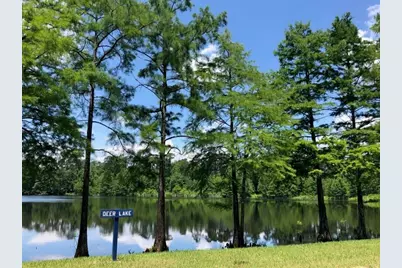 981 Cortez Creek Drive, Conroe, TX 77304 - Photo 30