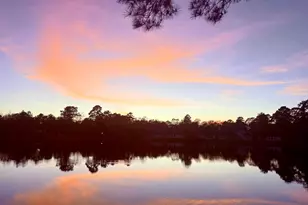 14951 Colt Ln, Willis, TX 77378 - Photo 18