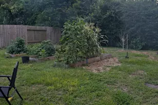 14951 Colt Ln, Willis, TX 77378 - Photo 4