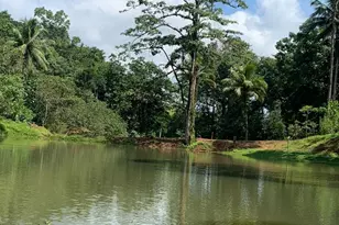 0000 San Carlos, , CO - Photo 8