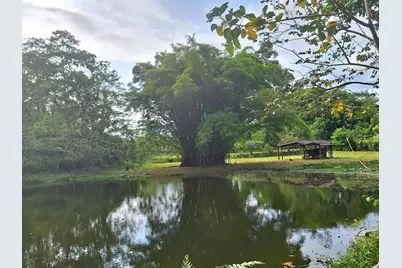 0000 San Carlos, , CO  - Photo 1