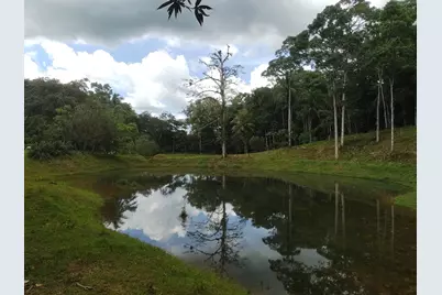 0000 San Carlos, , CO  - Photo 2