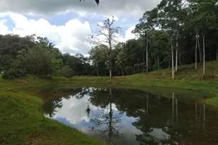 0000 San Carlos, , CO - Photo 2