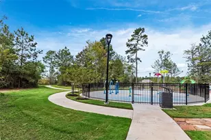 342 Birch Blossom Path, Magnolia, TX 77354 - Photo 36