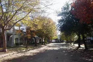 1021 Grey Fox Dr, Aubrey, TX 76227 - Photo 6