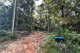 193 Bonnie Maude Blvd, Livingston, TX 77351 - Photo 32