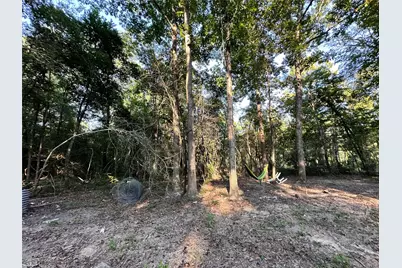 193 Bonnie Maude Boulevard, Livingston, TX 77351 - Photo 28