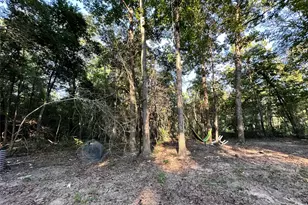 193 Bonnie Maude Blvd, Livingston, TX 77351 - Photo 28