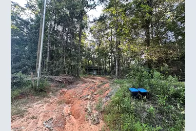 193 Bonnie Maude Boulevard, Livingston, TX 77351 - Photo 32